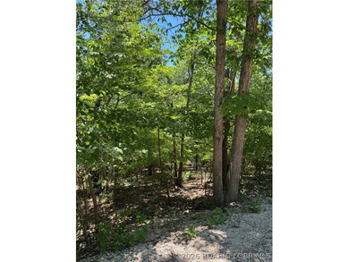 Unique opportunity to own four connected lots in Four Seasons - photo 6