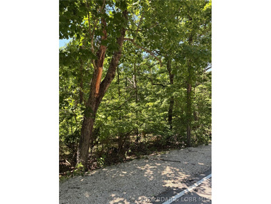 Unique opportunity to own four connected lots in Four Seasons - photo 8