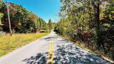 2.1 wooded bluff acres with direct river frontage on Coffman - photo 3