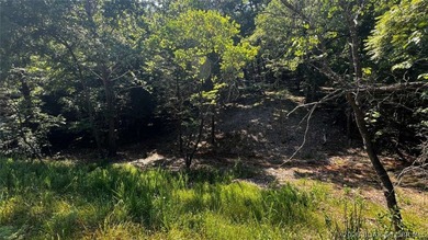 2.1 wooded bluff acres with direct river frontage on Coffman - photo 5