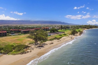Experience the best of Maui living at Luana Kai C-201. This - photo 47