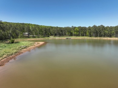 Lake Acreage For Sale in Wilsonville, Alabama
