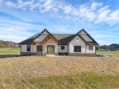 Nolichucky River Home For Sale in Greeneville Tennessee