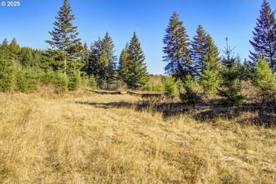 Home shown in pictures is an example of what could be built here - photo 5
