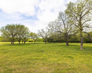 Lake Acreage For Sale in Bluff Dale, Texas
