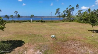 Waterfront Lot with Gulf Access - Rare Opportunity in the Panama - photo 6