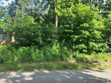 Lake Neepaulin Lot For Sale in Wantage Twp. New Jersey