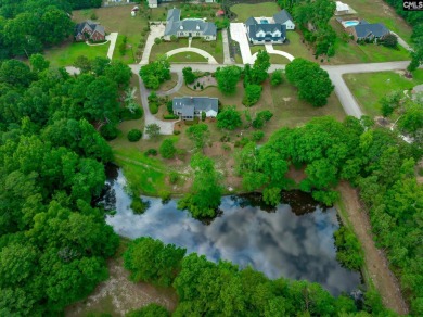(private lake, pond, creek) Home For Sale in Lexington South Carolina