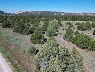 Ramah Reservoir Acreage For Sale in Ramah New Mexico