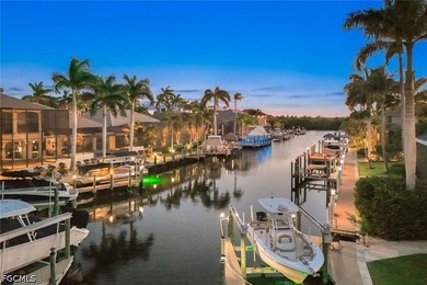 DIRECT GULF ACCESS | SOUTHWESTERN REAR EXPOSURE | ESTATE LIVING - photo 47
