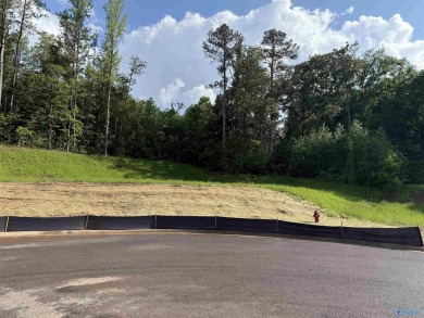 Lake Lot For Sale in Guntersville, Alabama