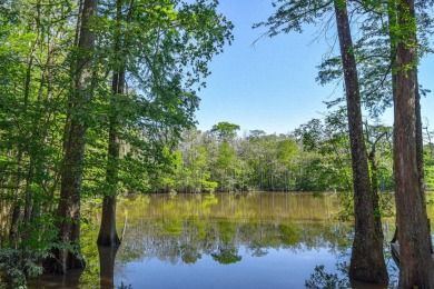 Lake Acreage For Sale in Springfield, Louisiana