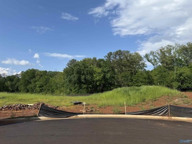 Lake Lot For Sale in Guntersville, Alabama