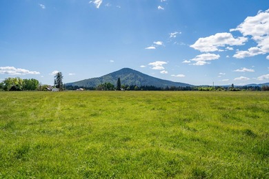 This historic sixth-generation ranch, held by the same family - photo 17