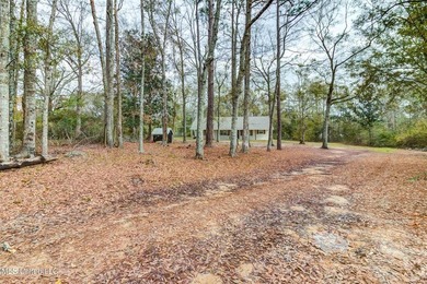 Situated on 1.5 acres in the peaceful Gulfport countryside, this - photo 41