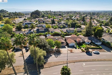 Charming North-East facing 4-bedroom, 2-bath home offering 1,875 - photo 42