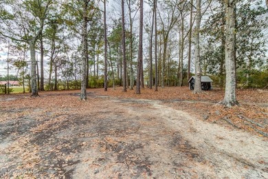 Situated on 1.5 acres in the peaceful Gulfport countryside, this - photo 48