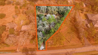 Situated on 1.5 acres in the peaceful Gulfport countryside, this - photo 49
