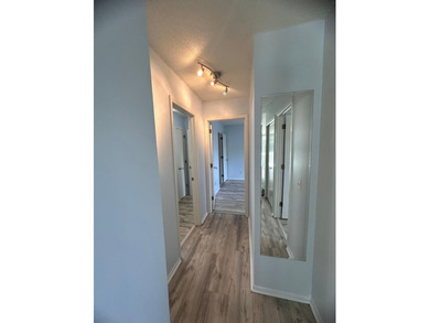 Woodpark 3 bedroom 2 bath Townhome light and airy. Many updates - photo 9