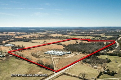 Lake Commercial For Sale in Theodosia, Missouri
