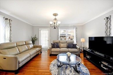 Morris Park Brick Detached Single family with finished basement - photo 4