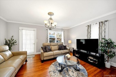 Morris Park Brick Detached Single family with finished basement - photo 5
