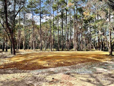 Discover 40 acres of pure freedom & natural beauty, where - photo 1