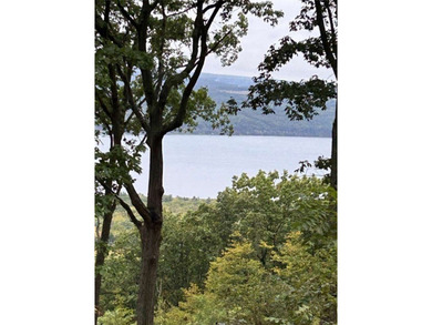 Seneca Lake Acreage For Sale in Burdett New York