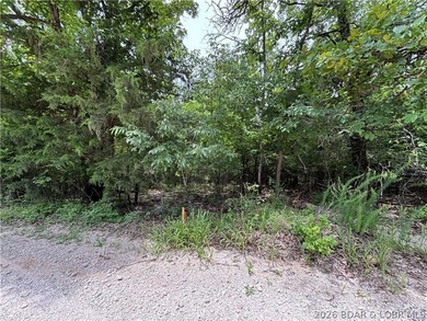 Nice Building site located just off of O-Road approximately 1/10 - photo 1