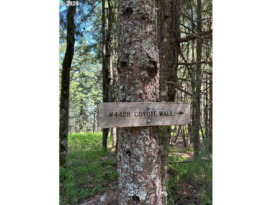 Peace, Privacy & Potential - Dreaming of a place with stunning - photo 32