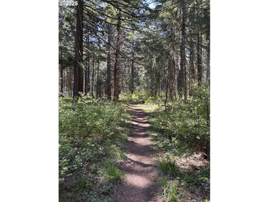 Peace, Privacy & Potential - Dreaming of a place with stunning - photo 33