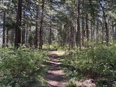 Peace, Privacy & Potential - Dreaming of a place with stunning - photo 34