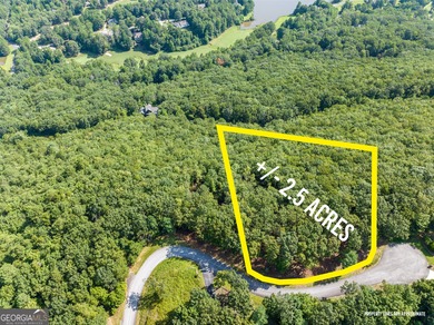 Golden Lake  Acreage For Sale in Clarkesville Georgia