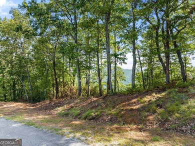 2.5 acre lot in a highly desirable location offering the best - photo 2