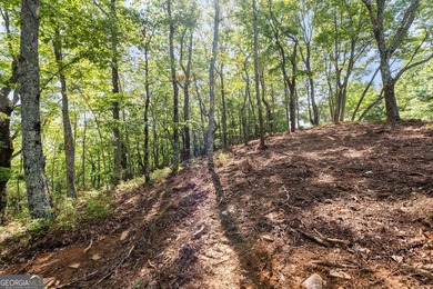 2.5 acre lot in a highly desirable location offering the best - photo 3