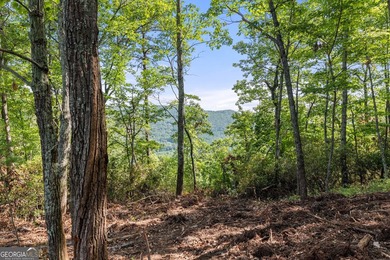 2.5 acre lot in a highly desirable location offering the best - photo 4
