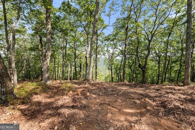 2.5 acre lot in a highly desirable location offering the best - photo 6