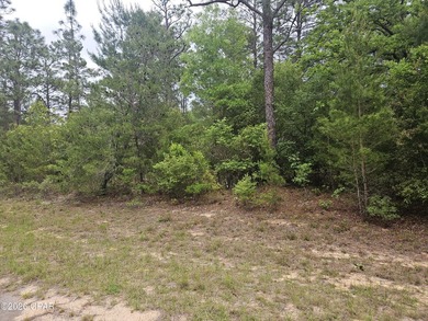 Blue Homestead Lake  Lot For Sale in Chipley Florida