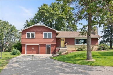 Lake Home For Sale in Silver Lake, Minnesota