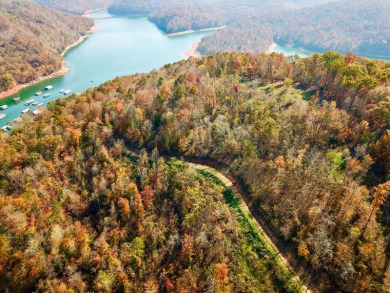 Norris Lake Acreage For Sale in Speedwell Tennessee