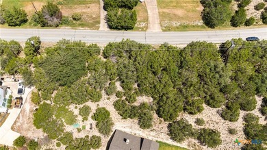 HERE IS YOUR CHANCE TO OWN AN OVERSIZED LOT IN BRIARCLIFF. A - photo 8