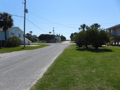 Desirable 4th row homesite just one lot off Palmetto Boulevard - photo 11