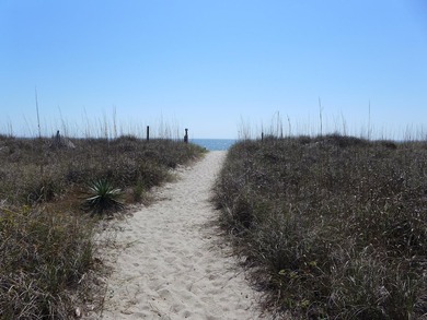 Desirable 4th row homesite just one lot off Palmetto Boulevard - photo 14