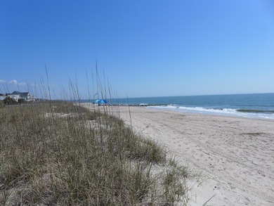 Desirable 4th row homesite just one lot off Palmetto Boulevard - photo 15
