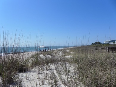 Desirable 4th row homesite just one lot off Palmetto Boulevard - photo 16