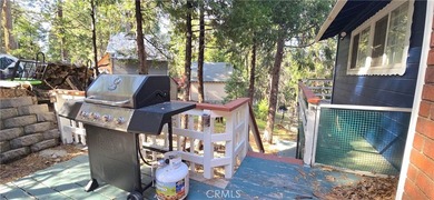 24032 Alpine Dr - photo 29