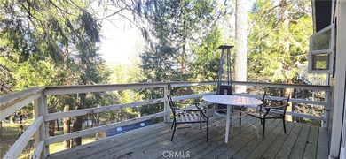 24032 Alpine Dr - photo 30