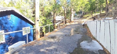 24032 Alpine Dr - photo 40