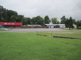 Kentucky Lake Commercial For Sale in Gilbertsville Kentucky