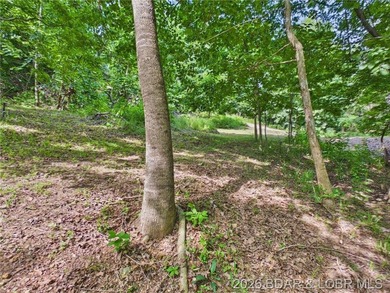 Lakefront living without the well and septic headache. This - photo 9